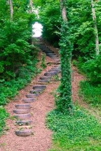 20446360-stairs-made-of-old-tires-in-the-woods
